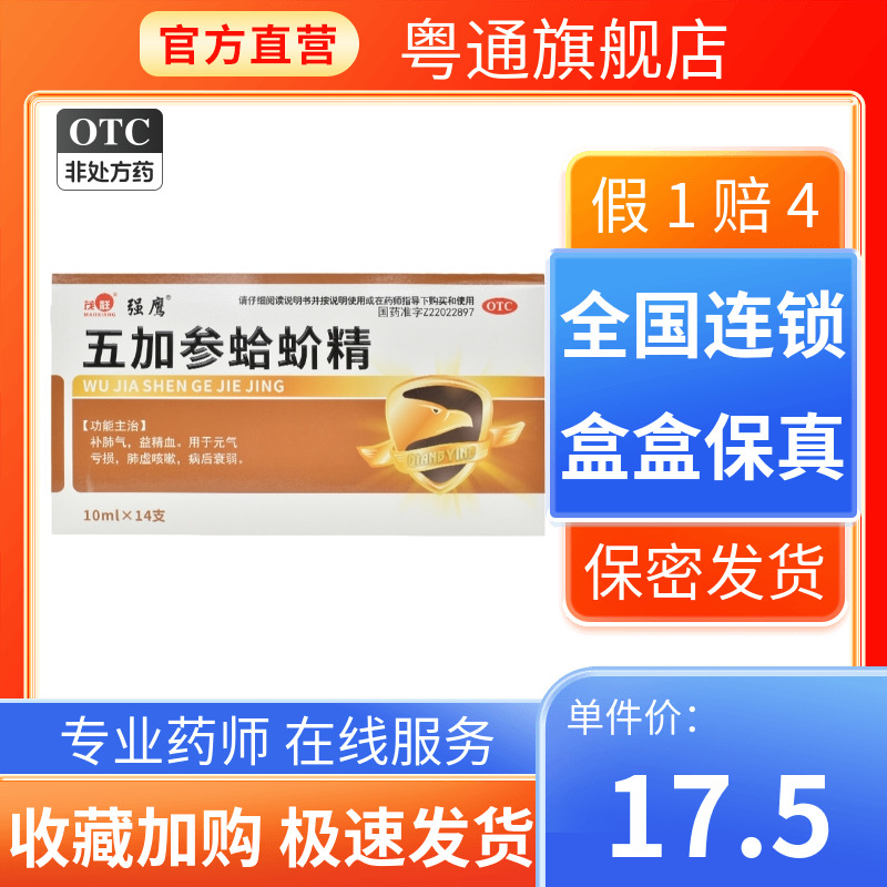 【强鹰】五加参蛤蚧精10ml*14支/盒