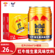 RedBull红牛维生素风味饮料250ml 整箱运动型能量风味饮品 24罐装