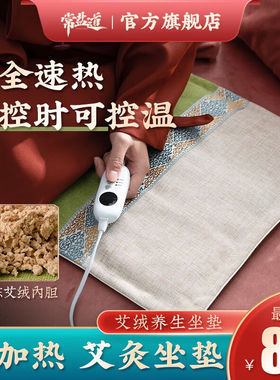 常盐道陈艾绒艾灸坐垫电加热艾叶艾草坐垫宫寒理疗座垫椅子臀部私