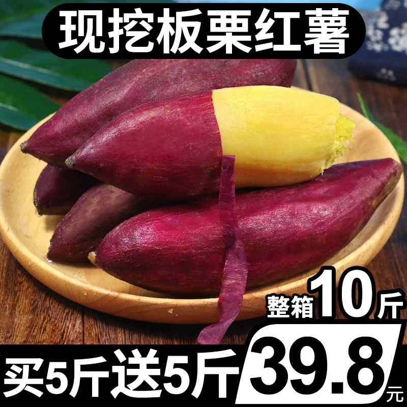 新鲜现挖整箱10斤板栗红薯临安天目山大香薯黄心地瓜蔬菜紫薯番薯