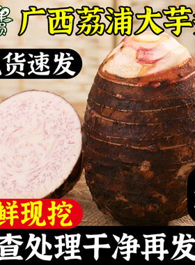 广西荔浦新鲜大芋头正宗农家现挖9斤粉糯香芋槟榔紫藤毛芋包邮