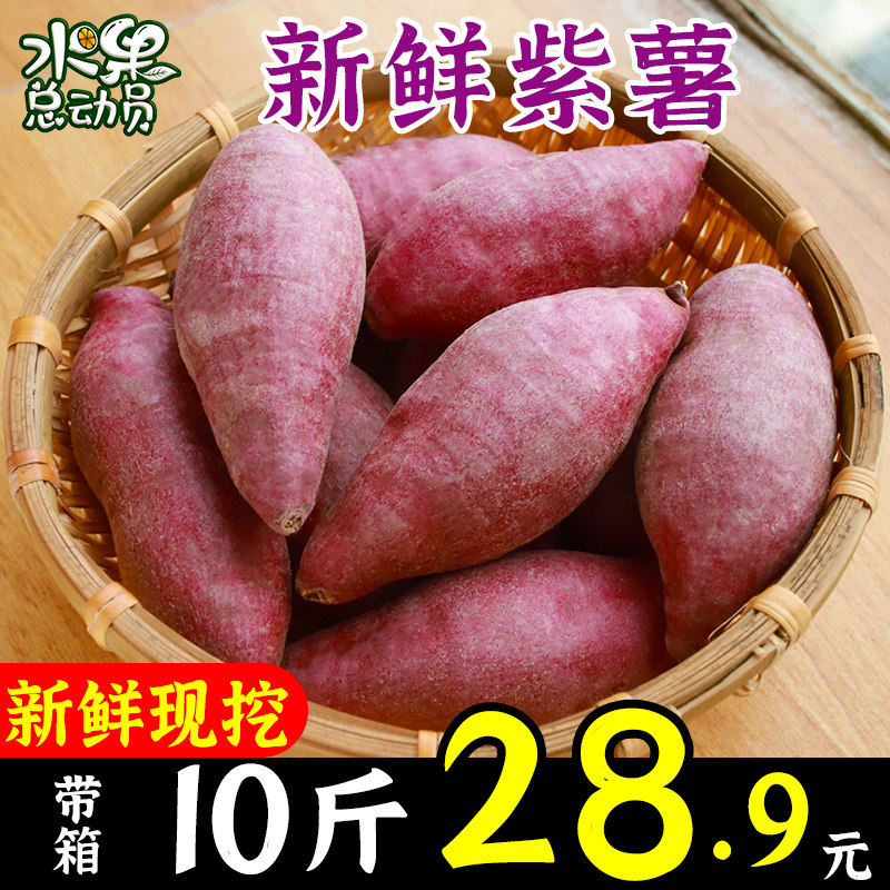 现挖新鲜净重9斤紫薯5斤番薯地瓜红薯沙地紫红小香薯整箱10斤包邮