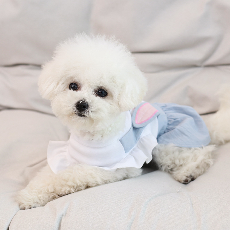 跨境新款泰迪裙子春夏薄款小狗狗夏季衣服宠物吉娃娃小型幼犬博美