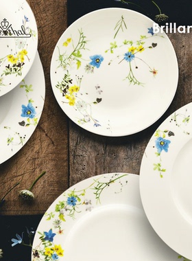 新色Rosenthal卢臣泰Brillance中式家用骨瓷碗盘餐具4件套彩盒装