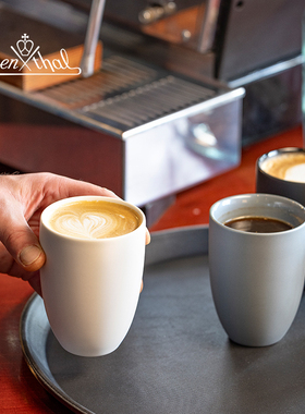 Rosenthal卢臣泰马克家族系列陶瓷双层马克杯