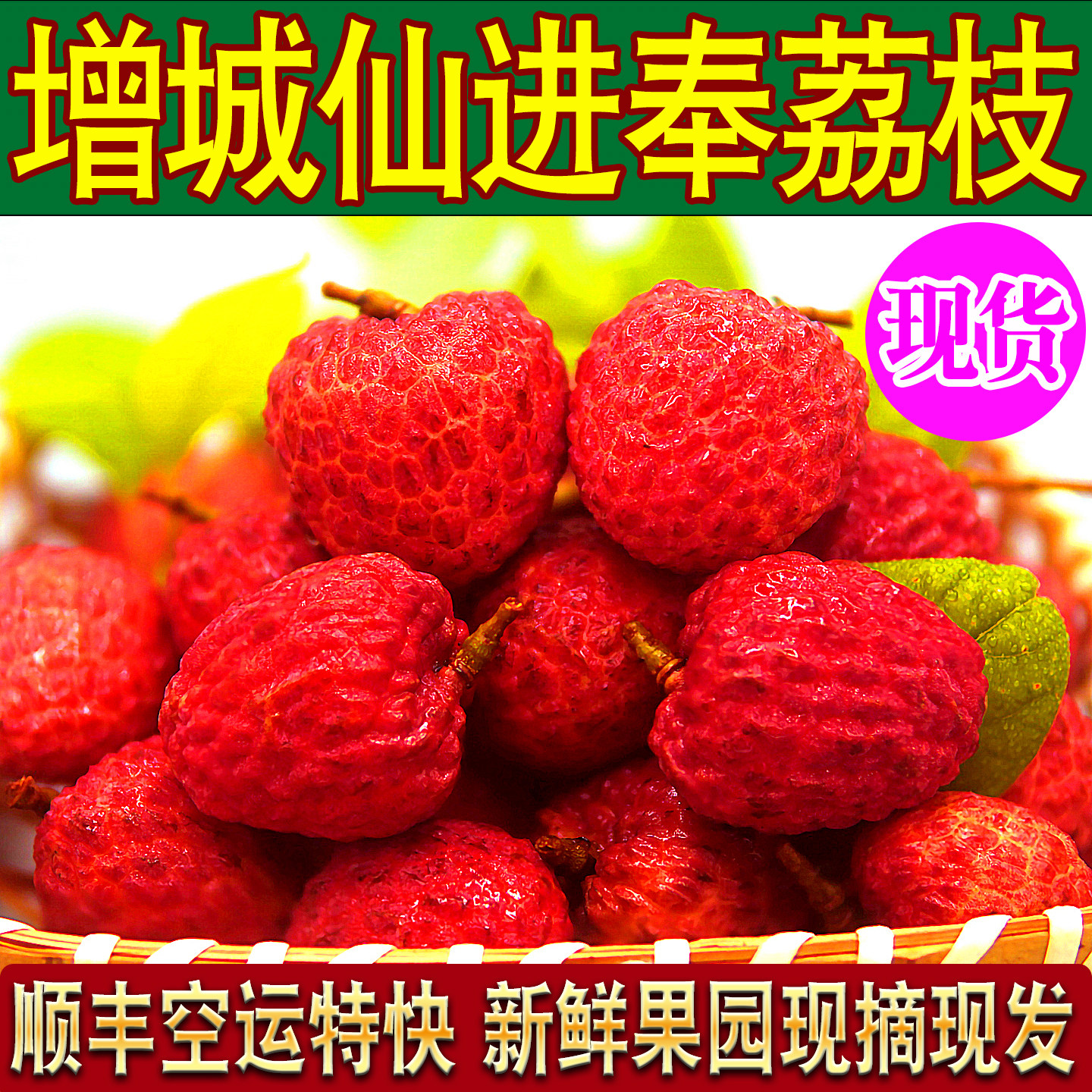 正宗增城仙进奉荔枝精品新鲜顺丰