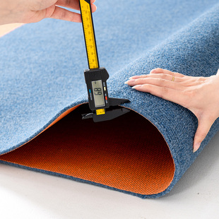 地毯卧室全铺大面积整铺满铺可裁剪房间床边毯免打理吸水防滑防摔