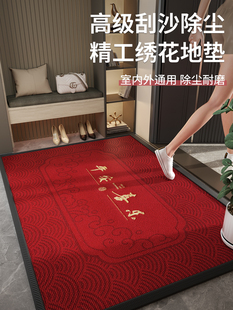 2025新款门口高级感入户地垫入户门垫家用玄关进门脚垫子防滑耐磨