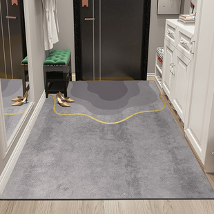 轻奢可擦免洗垫子入户地毯进门地垫入户门门垫家用大门口踩脚垫