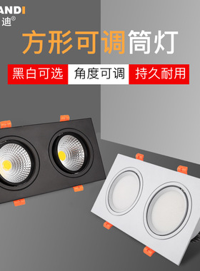 LED黑色双筒灯双头斗胆灯方形嵌入式长方形双孔灯20*10cm可调角度