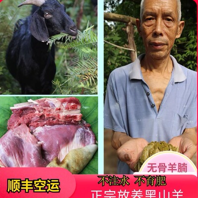 无骨羊腩农家散养正宗带皮生