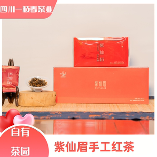 四川一枝春 紫仙眉红茶