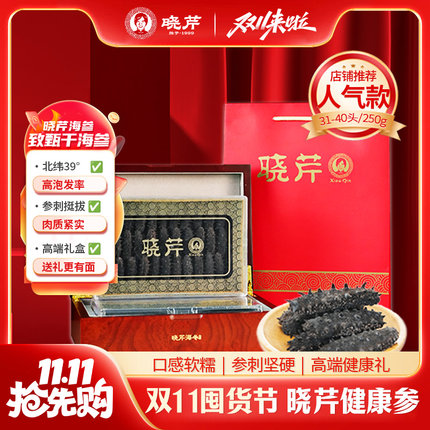 晓芹干海参250克 晓芹干海参31-40头 大连干货特价辽参送礼送健康