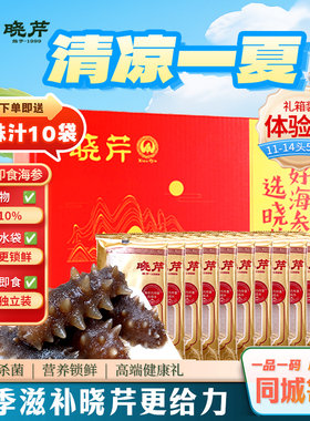 晓芹海参 500克 11-14头  大连即食海参 大连冷冻刺参 辽宁水产