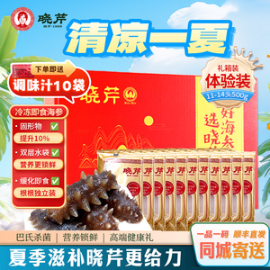 晓芹海参 500克 11-14头  大连即食海参 大连冷冻刺参 辽宁水产