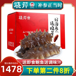 晓芹冷冻即食海参4斤大连海参2000克40-52只