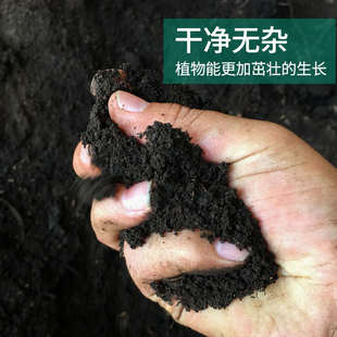 云南腐叶土松针腐殖营养土100斤包邮绿植多肉花卉种菜种植培养土