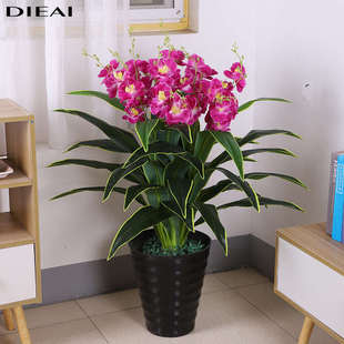 假花仿真花办公室内客厅装饰大型落地塑料植物盆景兰花跳舞兰假花