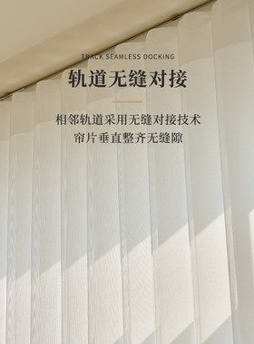 梦想窗户客厅阳台遮光垂直百叶窗电动梦想窗帘轻豪华现代2023新垂