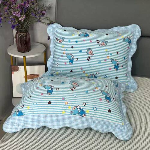 小清新纯棉枕套一对装夹棉单人儿童厚枕头套40x60拉链款四季通用