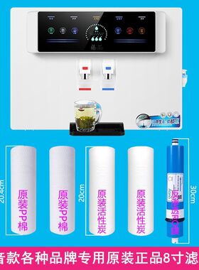净水器滤芯白色语音款直饮加热一体机RO100G反渗透膜PP棉专用