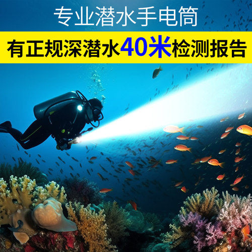潜水手电筒赶海专用水下探照灯