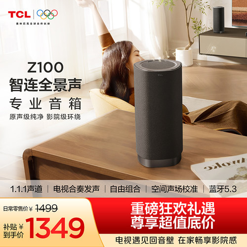1.1.1电视伴侣T和弦Z100-灰色