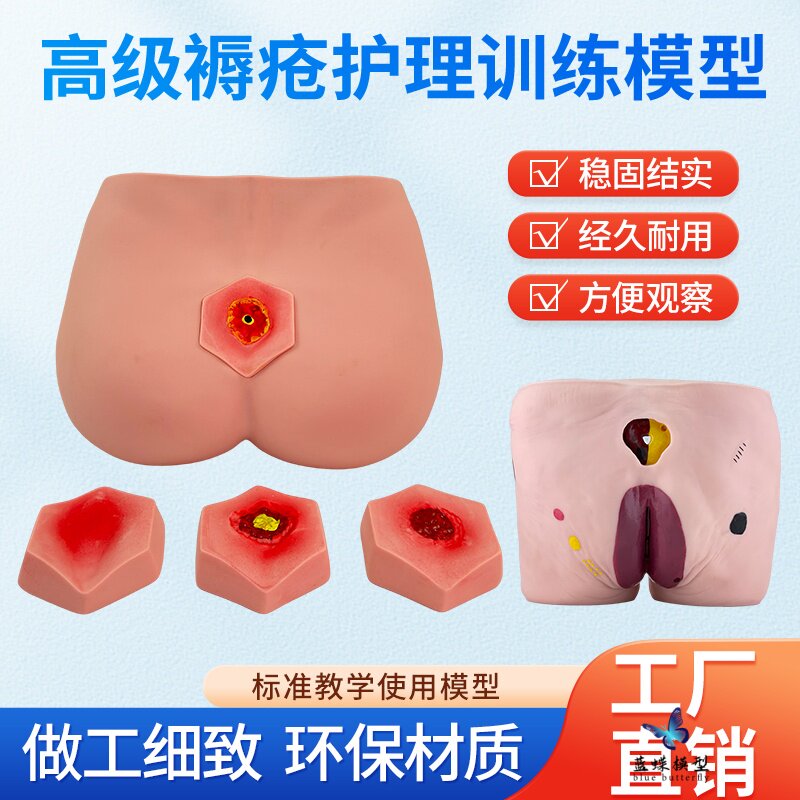 蓝蝶模型人体褥疮高级老年护理