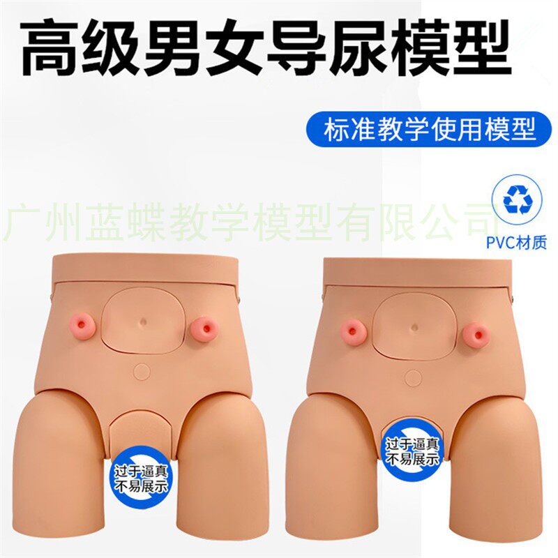 高级男性导尿模型 男性导尿训练模型 女性导尿模型有膀胱 尿道 肠