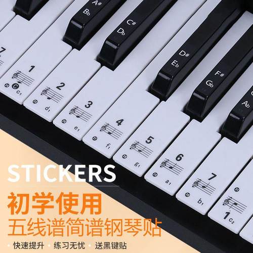 88键61键54键儿童成人钢琴电电子琴键盘贴纸透明贴五线谱简谱自学