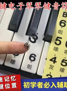 61键电子琴键盘贴纸透明不干胶初学自学琴键音符专用贴纸简谱键位