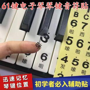 61键电子琴键盘贴纸透明不干胶初学自学琴键音符专用贴纸简谱键位