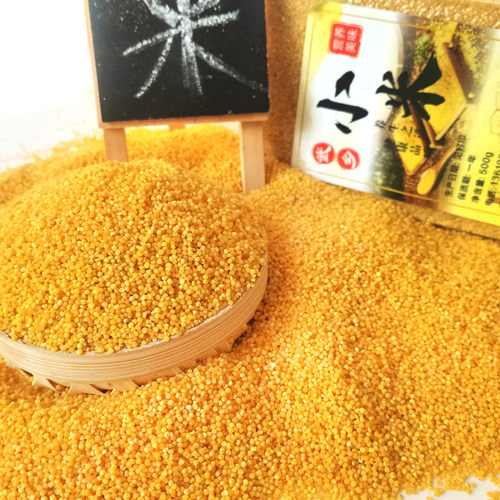 山西武乡农家黄小米真空食用新米