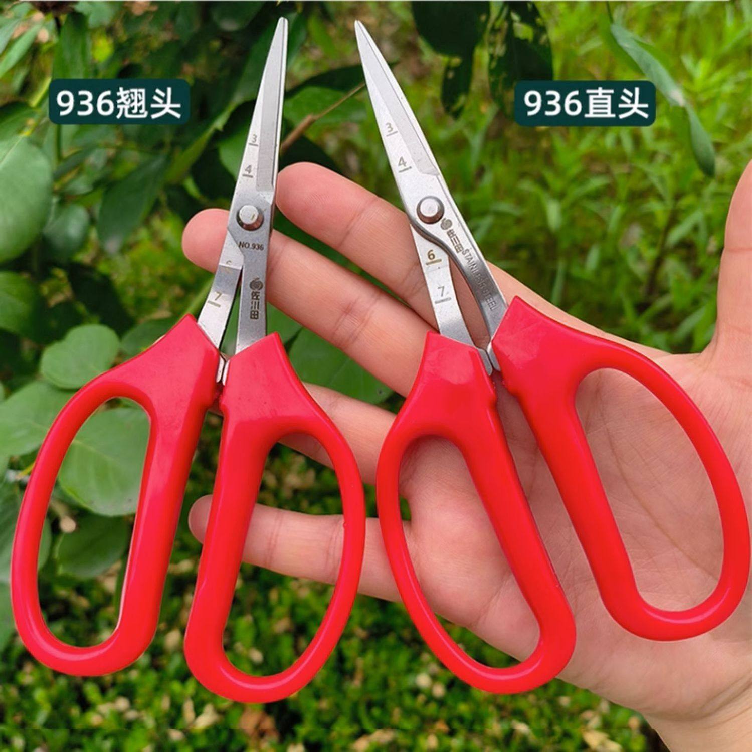 佐川田葡萄疏花疏果剪936稀果剪采果剪 园艺修花枝剪采摘摘果剪刀