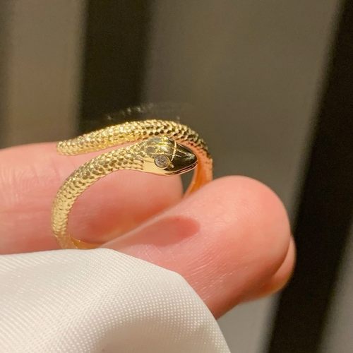 s925纯银暴富小灵蛇戒指女简约小众设计精致ins风高级感蛇年饰品