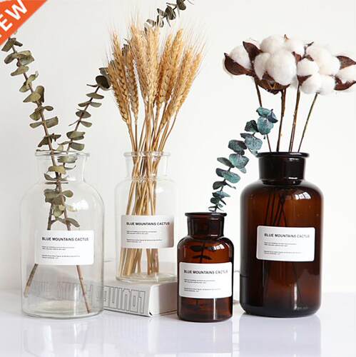 48h Glass Vase Flower Pot Flower Basket Flower Vase Decorati
