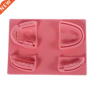 Multi-purpose Oral Suture Training Pad 1 x No Teeth Suture P