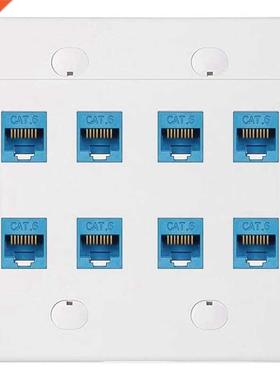 Ethernet Wall Plate 8 Port - Double Gang Cat6 RJ45 Keystone
