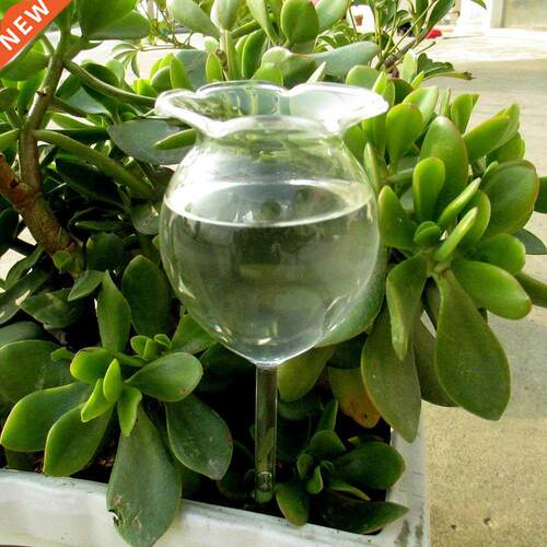 1 Ss House Plants Flowers Water Feeder Automatc Self W