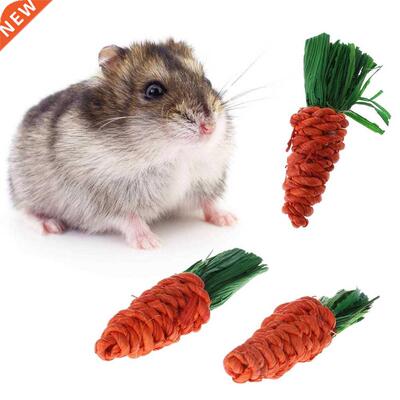 3Pcs Carrot Shaped Rit Hamster Chew Bite Toys Guinea Pig
