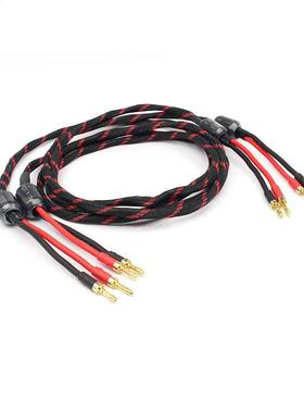 HI-End Electric Speaker Cable HIFI Audiophile Cable banana t