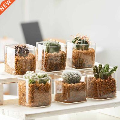 Glass Succulent Flower Pot Square Hydroponic Pot Glass Jar G
