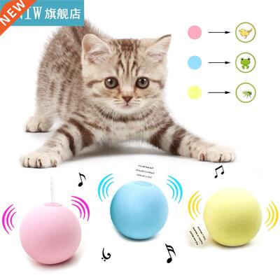 Smart Toys Cat Pets Interactive Ball Catnip Cat Training Toy