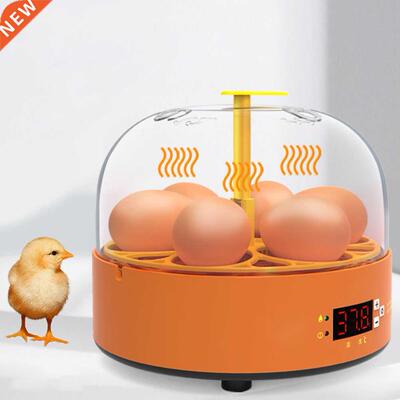 6 Eggs Eggs Incubator Chicken Incubator PID Heating Machine