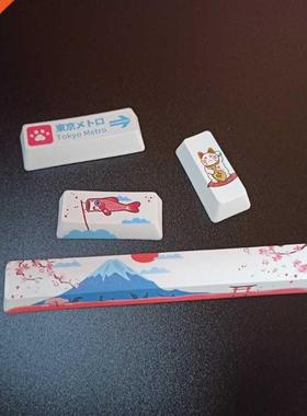 Custom Keyboard Keycaps PBT 6.25U Spacebar Shft Enter Enter