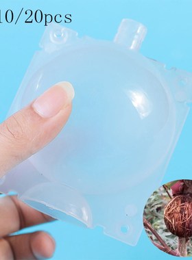 5/10/20pcs fruit Plant tree Rooting Ball Root box plastic ca