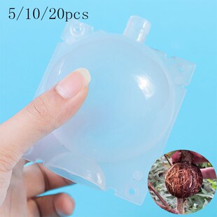 5/10/20pcs fruit Plant tree Rooting Ball Root box plastic ca