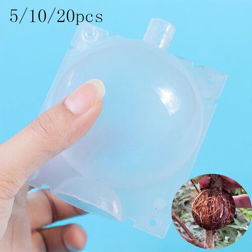 5/10/20pcs fruit Plant tree Rooting Ball Root box plastic ca
