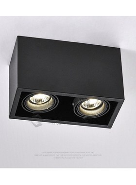 LED Ceiling Lights Double spot LED lamps Replaceable G10 5W