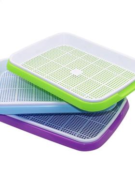 ean Sprouts Hydroponic Doule Layer tray Growing Vegetales